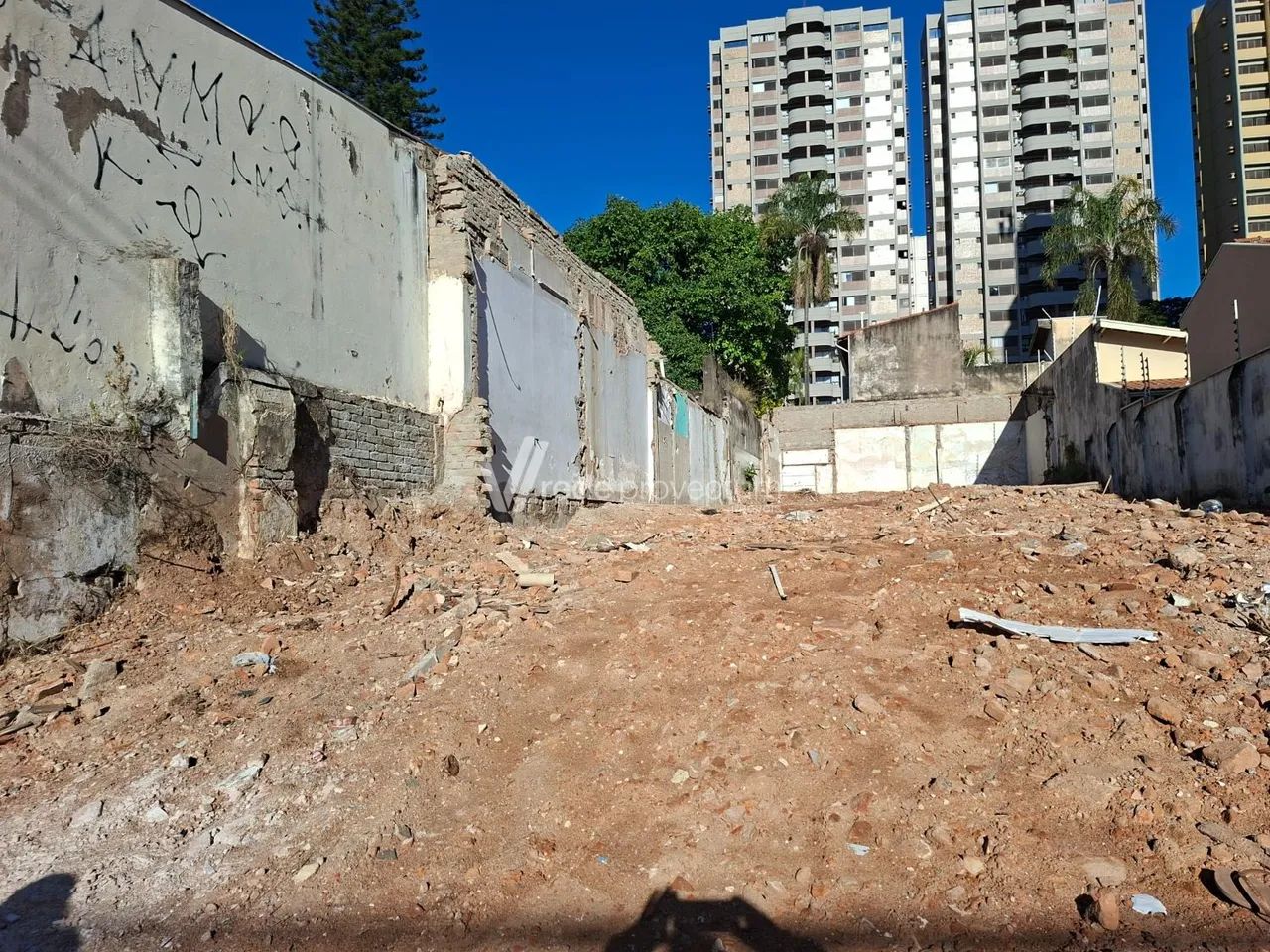 terreno - Bosque - Campinas - Foto 2