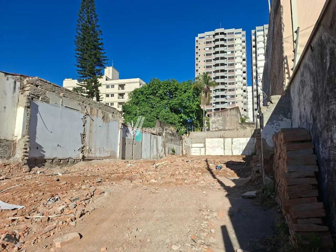 terreno - Bosque - Campinas - Foto 3
