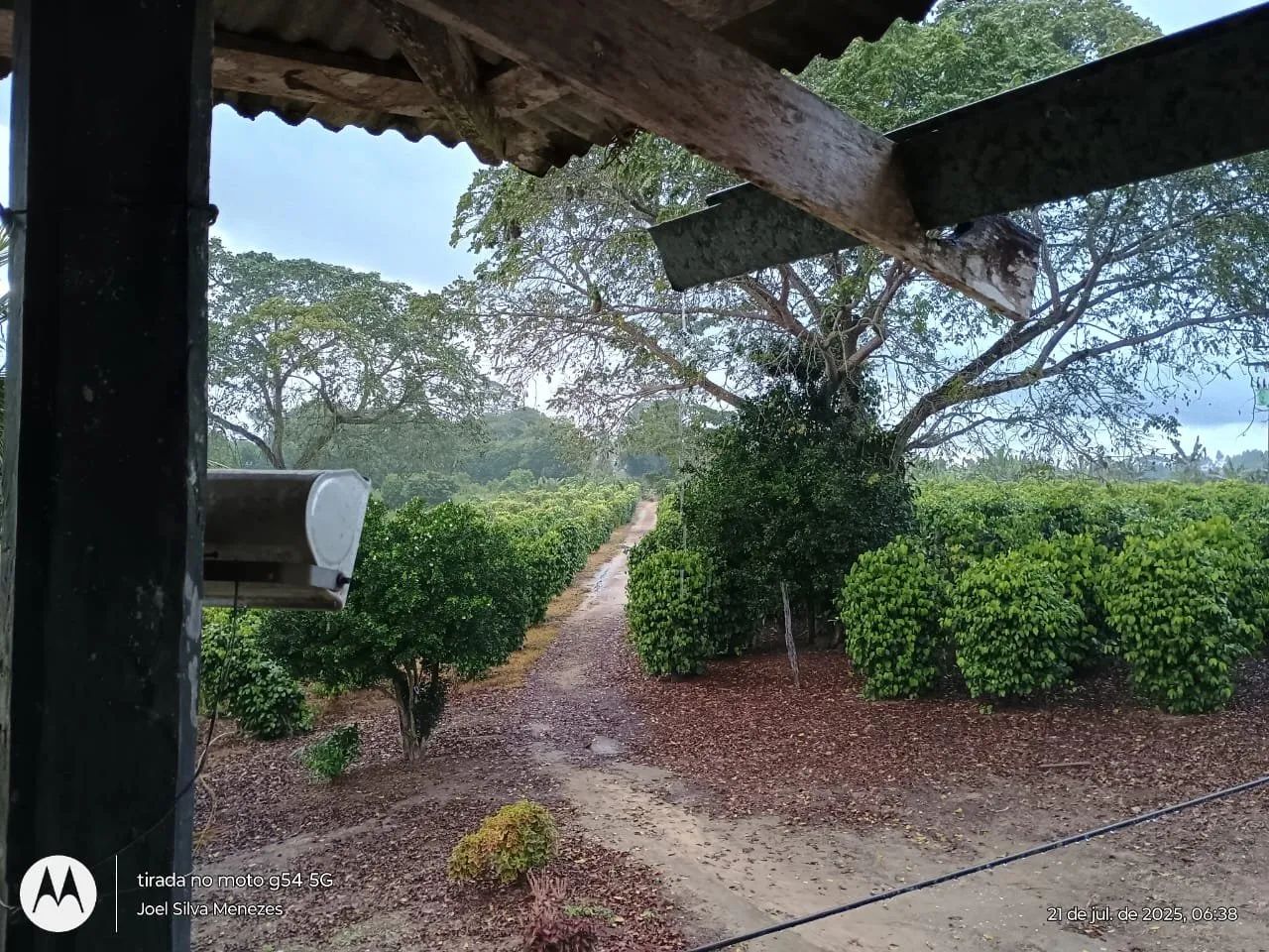 Fazenda / Belmonte - Bahia