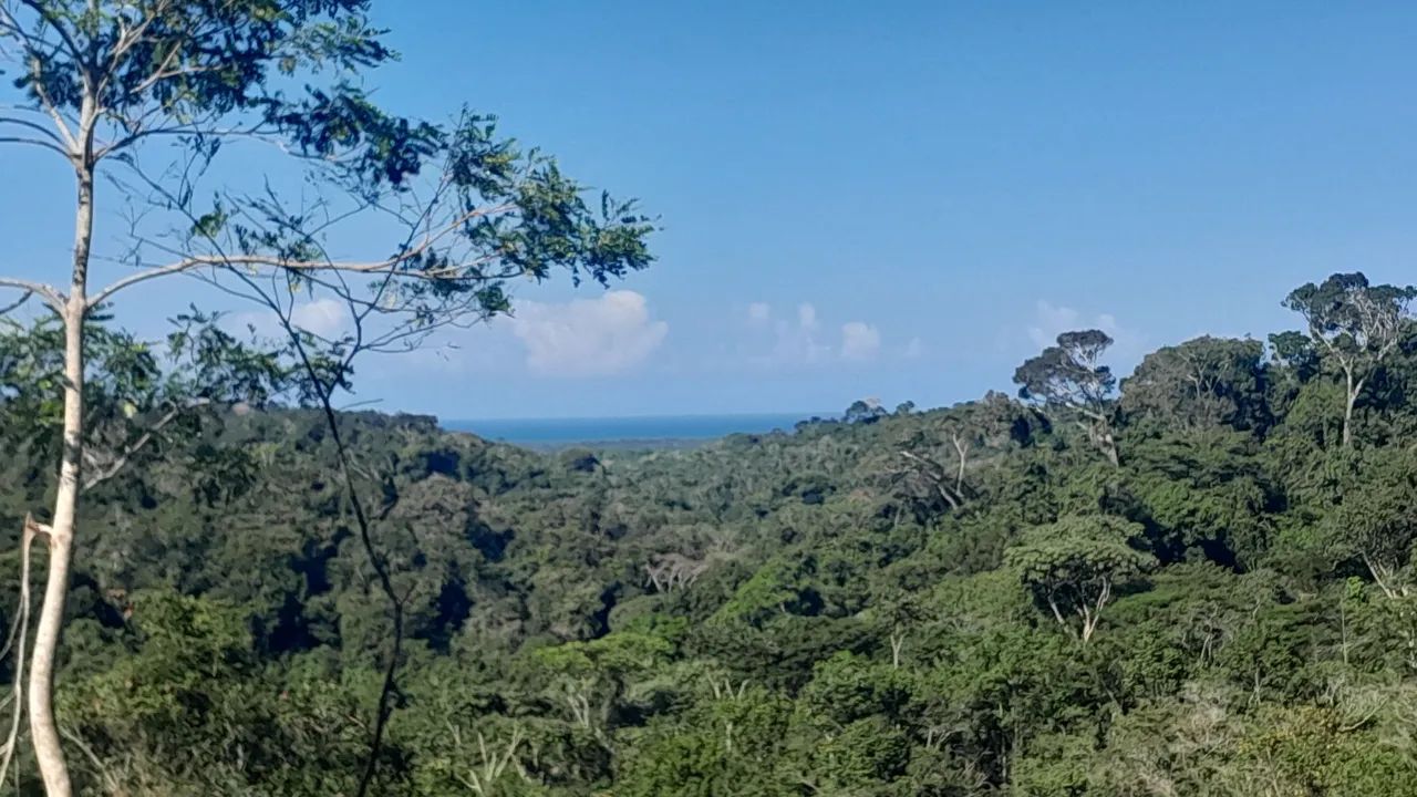 Sítio Itacaré Bahia
