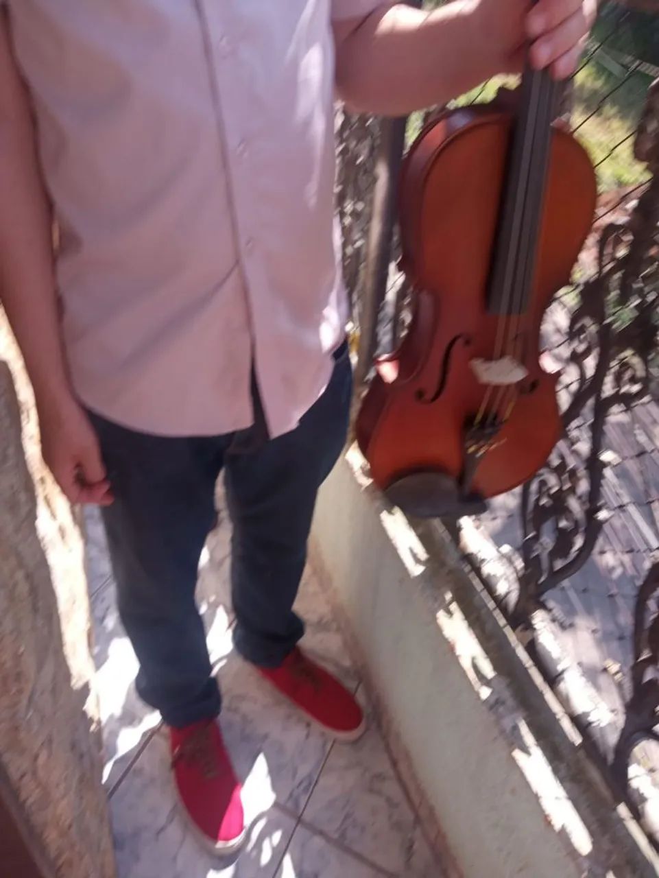 Violino / Viola Eagle VAI180 - Foto 3