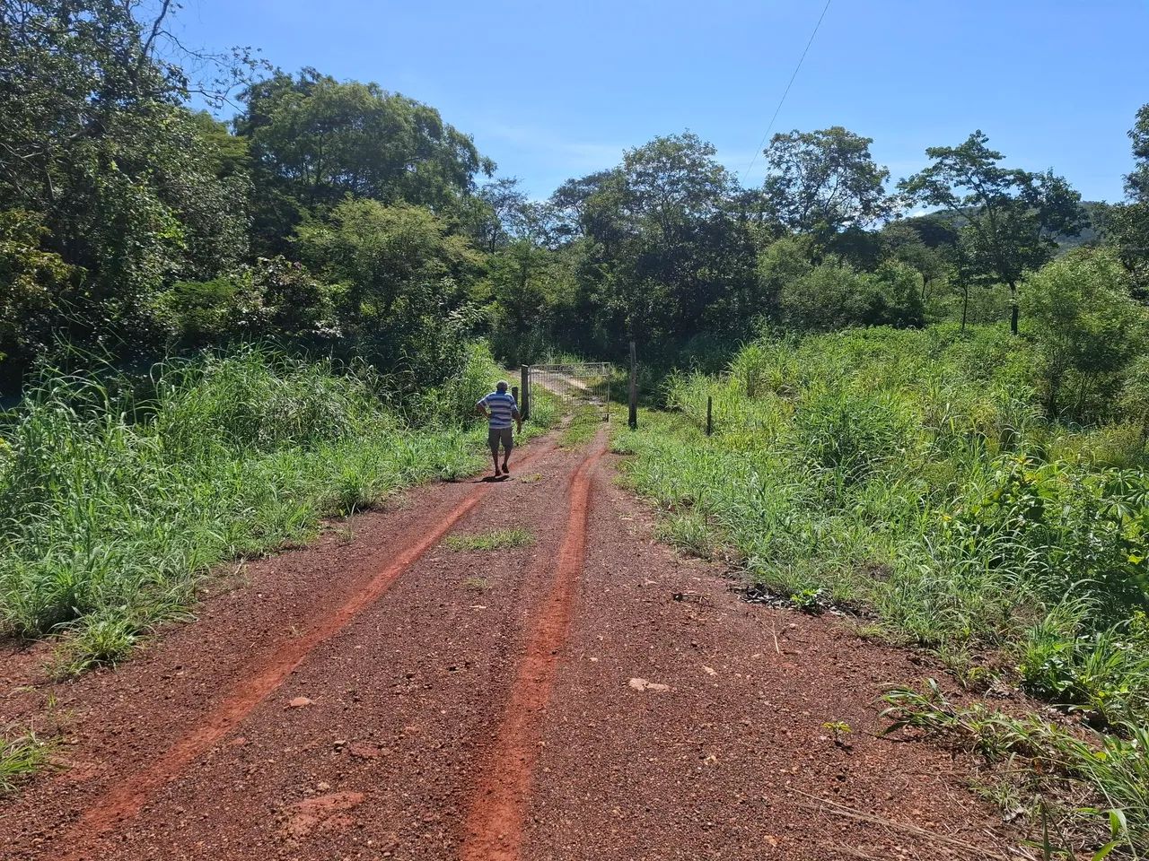 Vendo area de 3.5 hectares, com preço IMPERDÍVEL, no Aguaçu - Foto 2