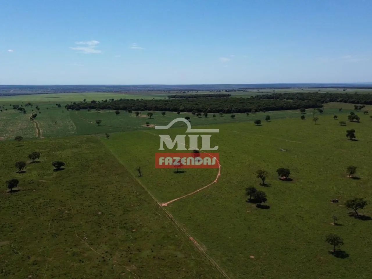 Fazenda 2.000 Hectares Nova Alvorada - MS - Foto 4