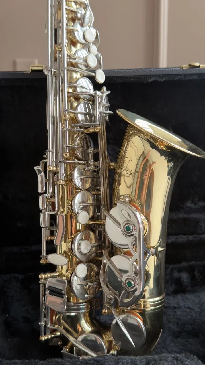 Saxofone Alto EAGLE - Foto 4