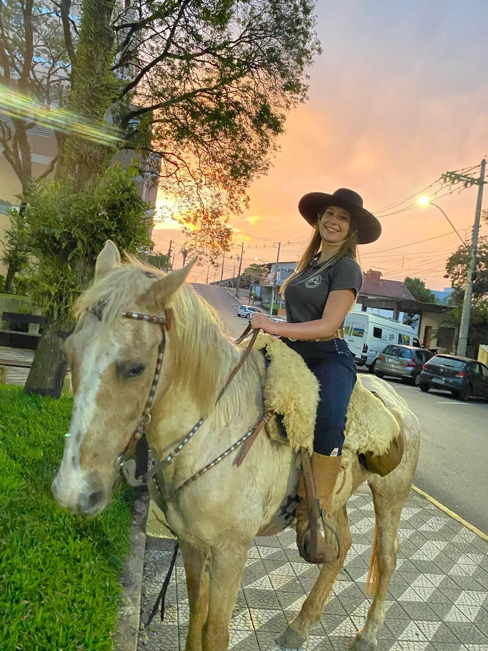 Vendo ou troco 2 cavalos por um 