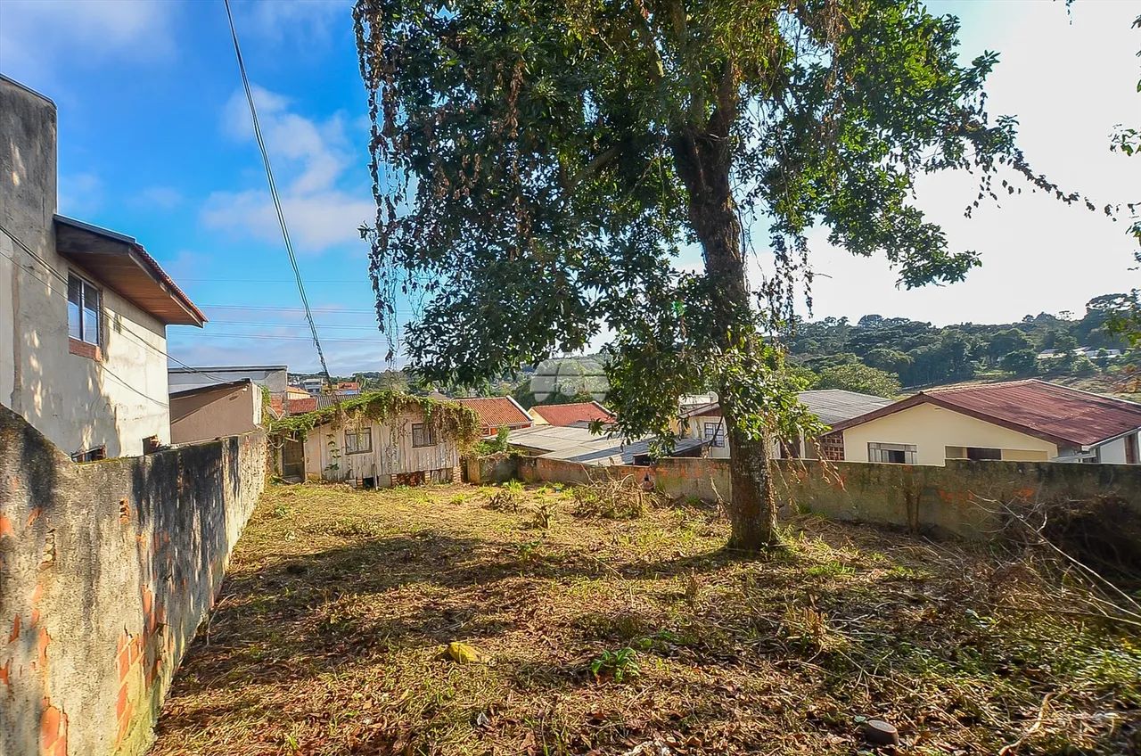 Vendas Terreno Curitiba PR - Foto 4