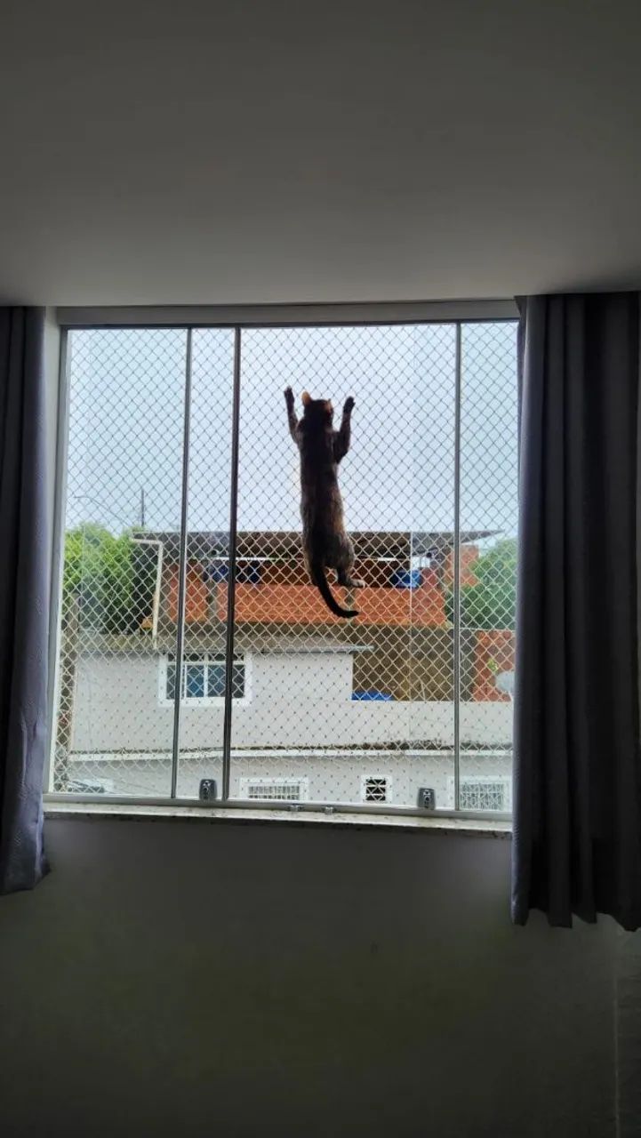 Rede de proteção! - Foto 2