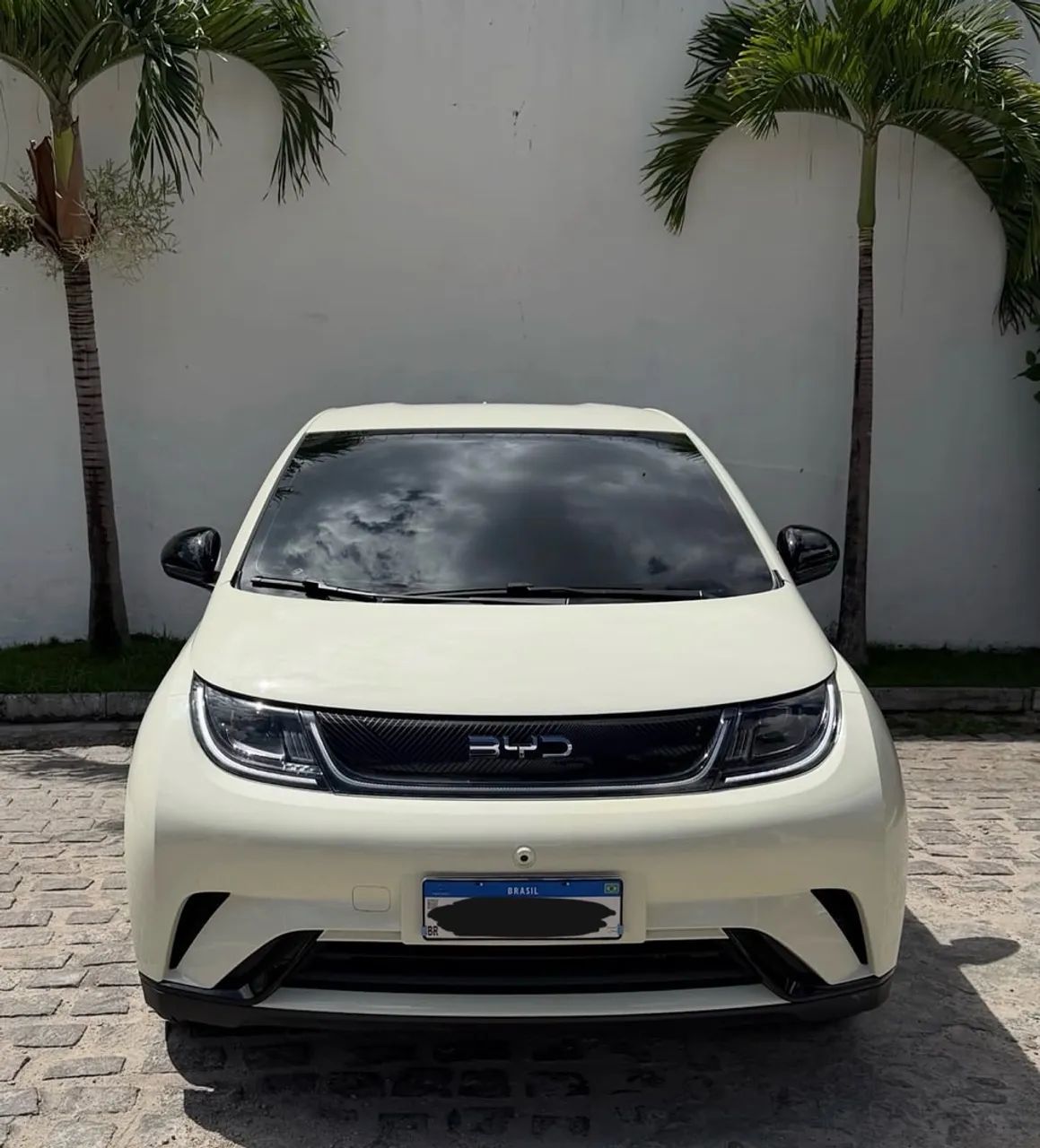 BYD Dolphin Plus (Elétrico) 2024 - Foto 2