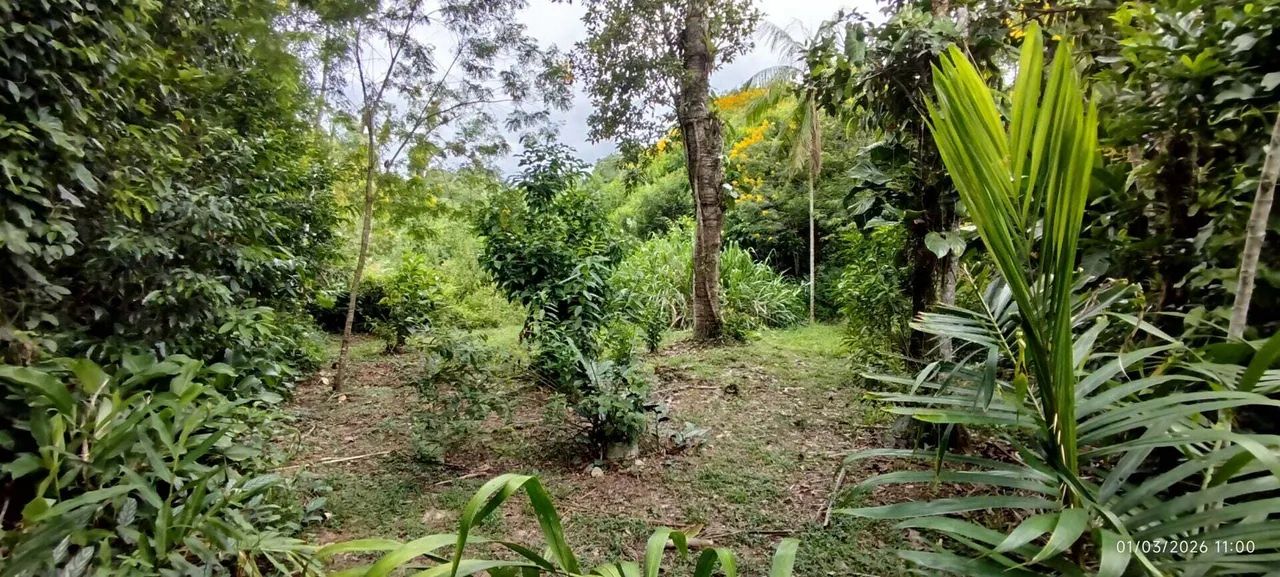 Lotes a Venda em Morretes - Foto 3