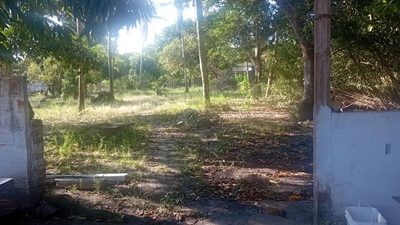 Terrenos - Foto 4