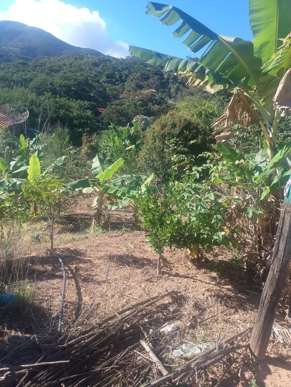 ? SÍTIO COM VIDA, ÁGUA E TRANQUILIDADE - PRÓXIMO A ROÇAS NOVAS E CAETÉ! - Foto 5