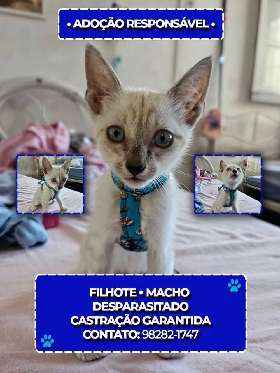 Adoção Responsável 