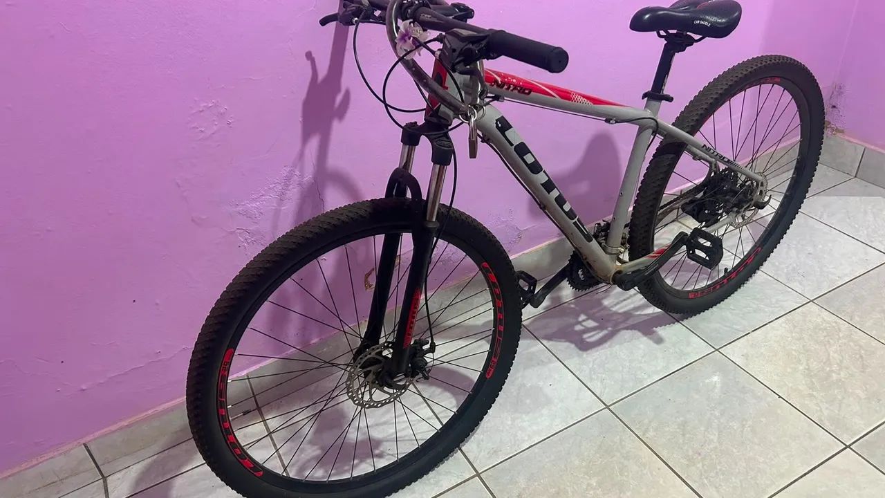 Bicicleta lótus  - Foto 2