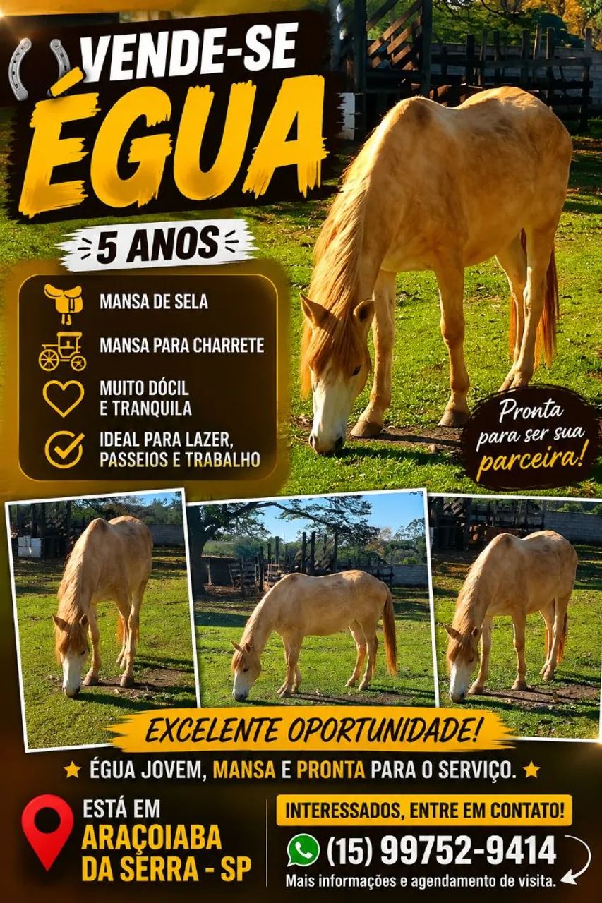 Vende se egua 