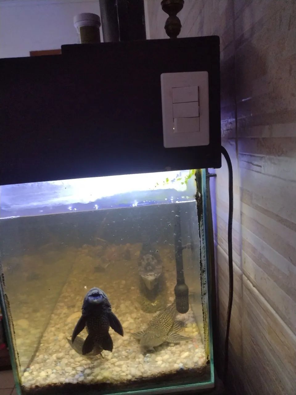 Aquário 300 l com móvel completo  - Foto 5