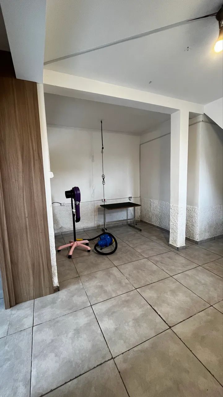 Soprador banho e tosa 