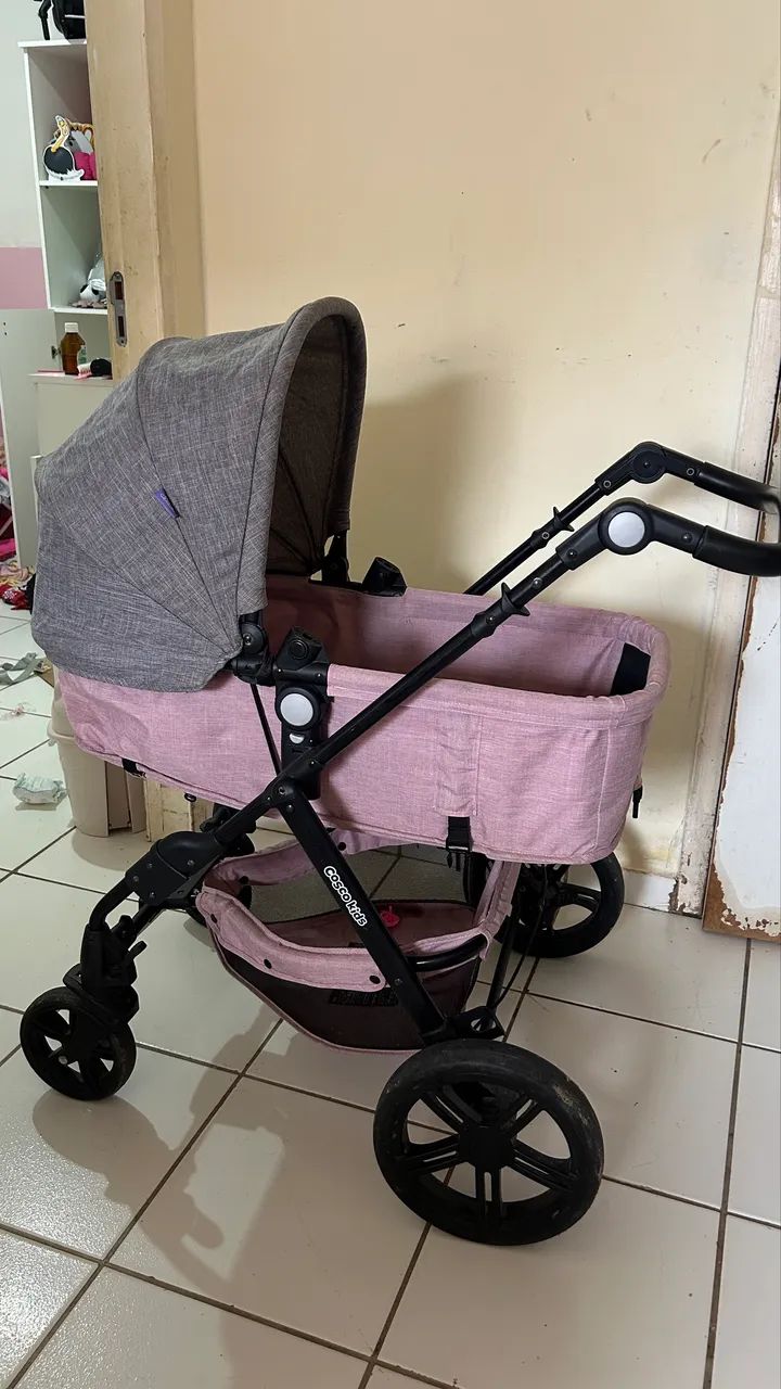 Carrinho de bebê Moisés 1000
