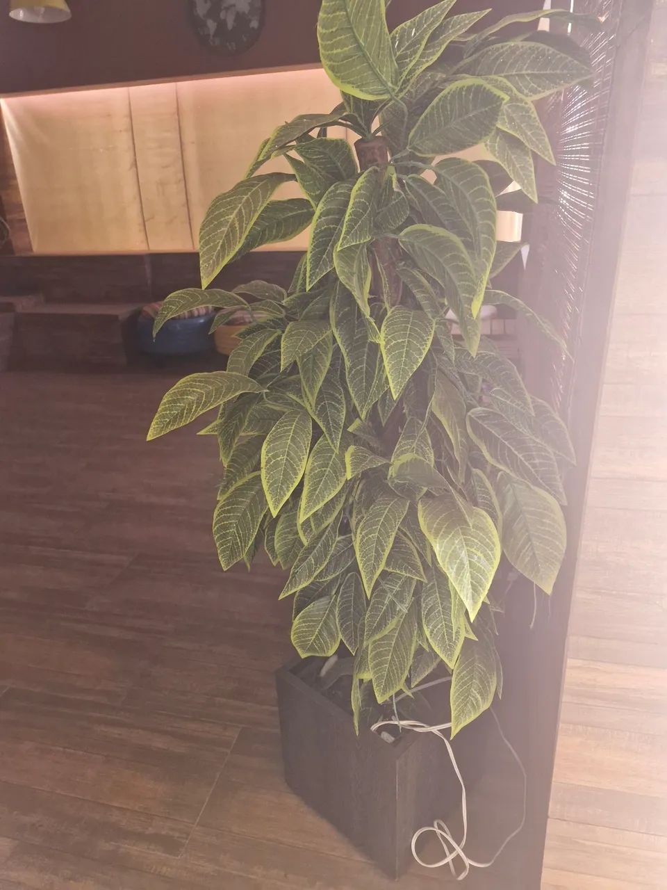 Planta artificial  - Foto 4