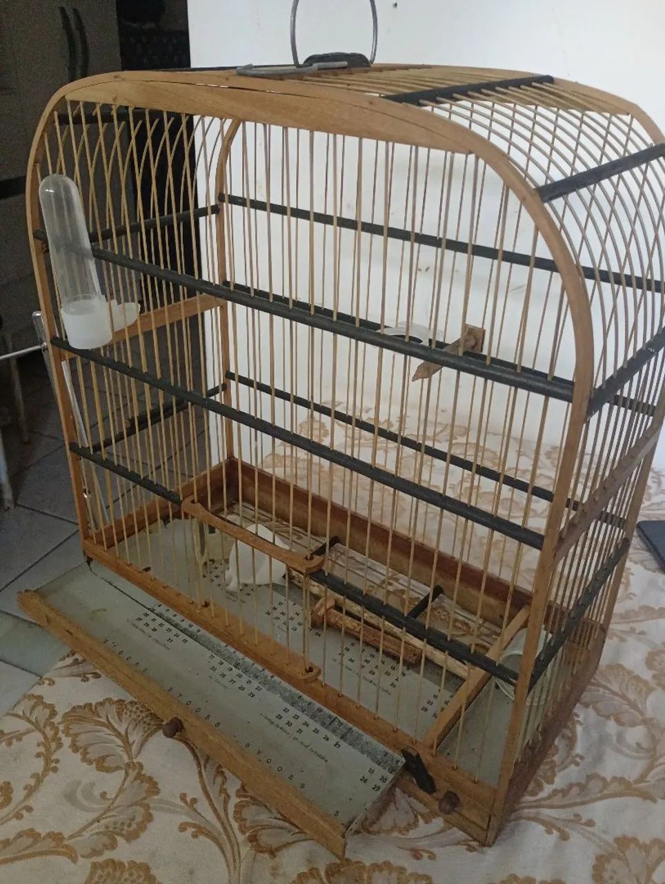 Gaiola 