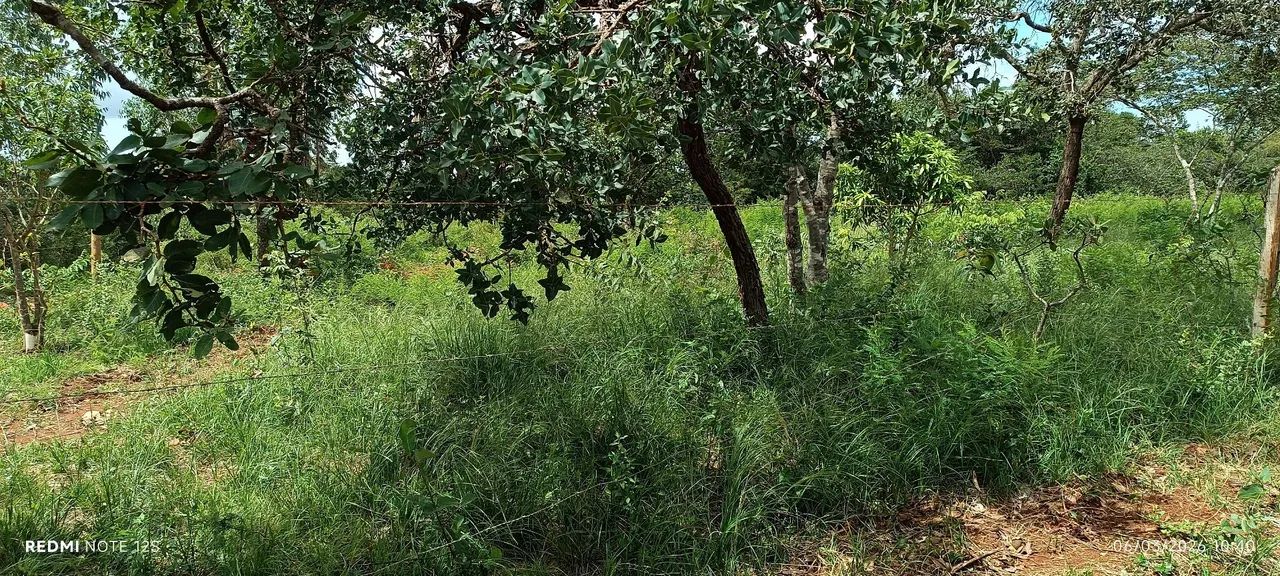 Vendo esse terreno  - Foto 3