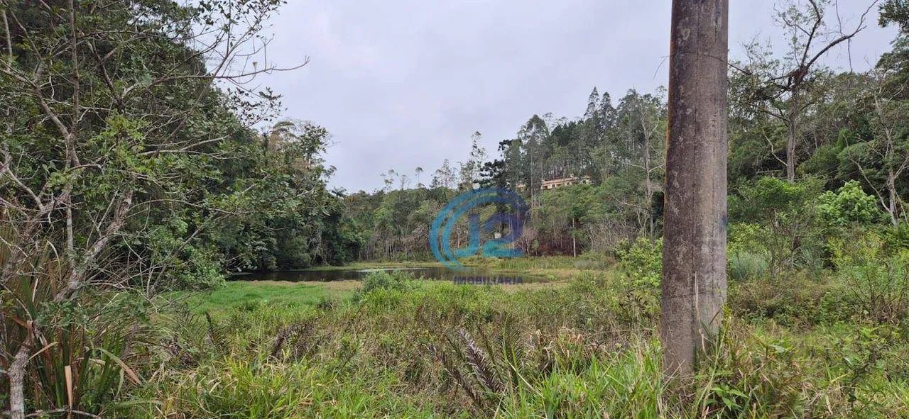 Terreno de 6.000 m² em Local Privilegiado  Ideal para Refúgio ou Negócio! - Foto 3