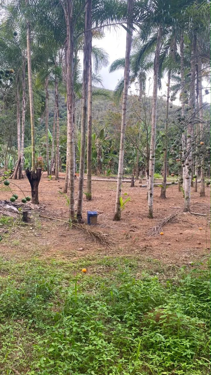Terreno com acesso ao rio jucu 