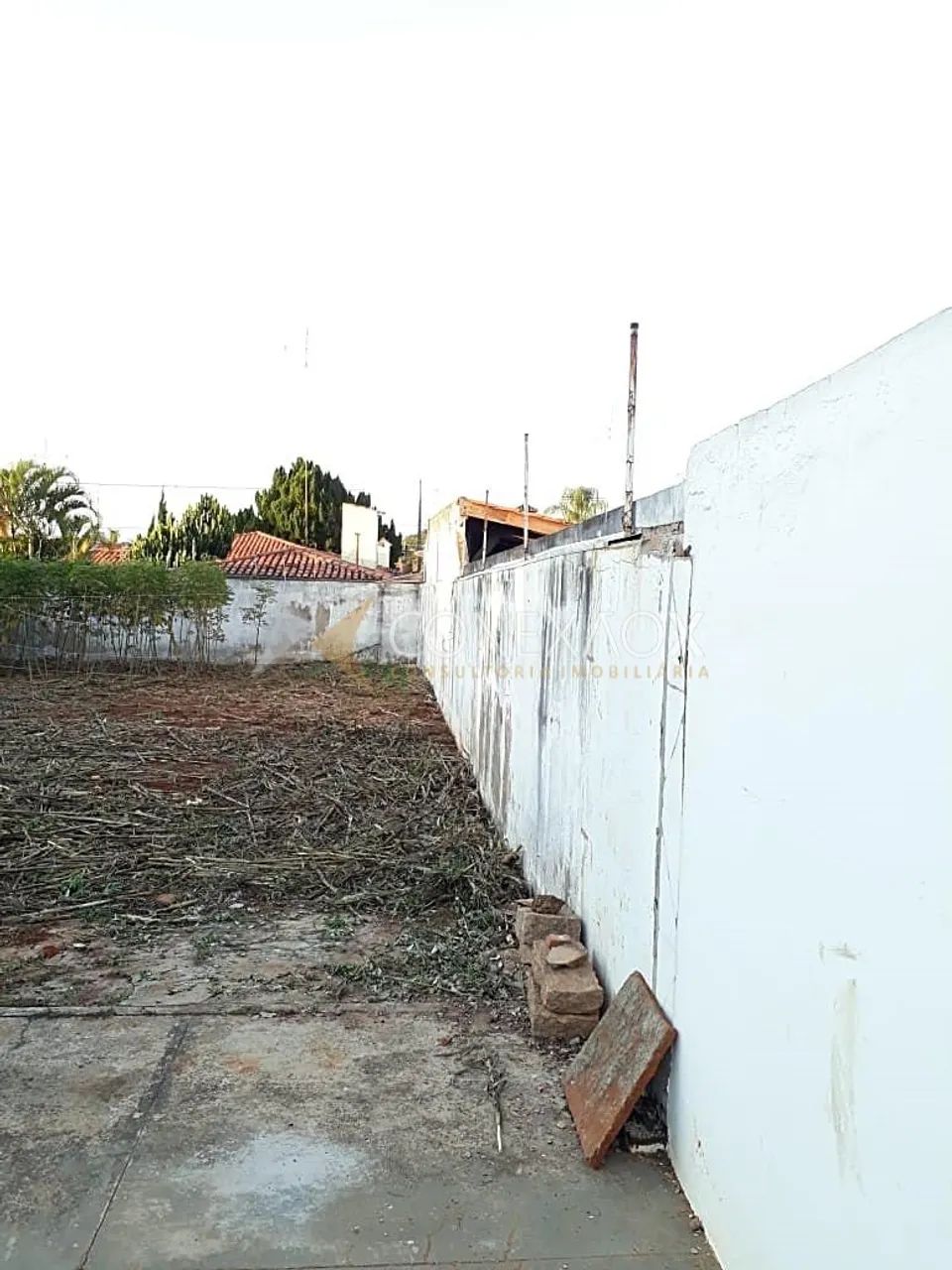 terreno - Cidade Universitária - Campinas - Foto 4