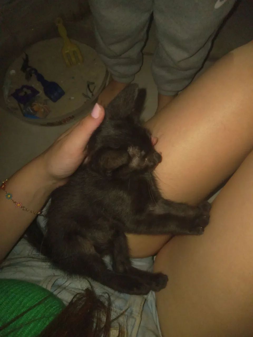 Doação gatinho filhote macho  - Foto 5