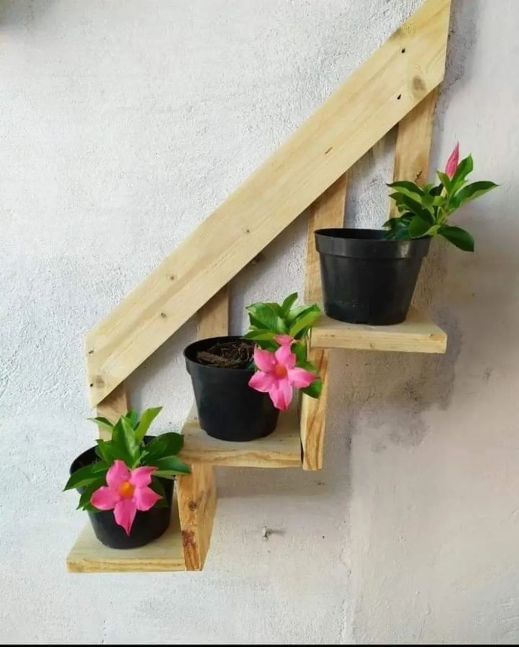 Decoração 