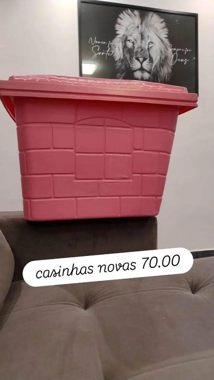 Casinhas de pet ,tamanho G super novas 50.00 cada uma  aproveitem  - Foto 2