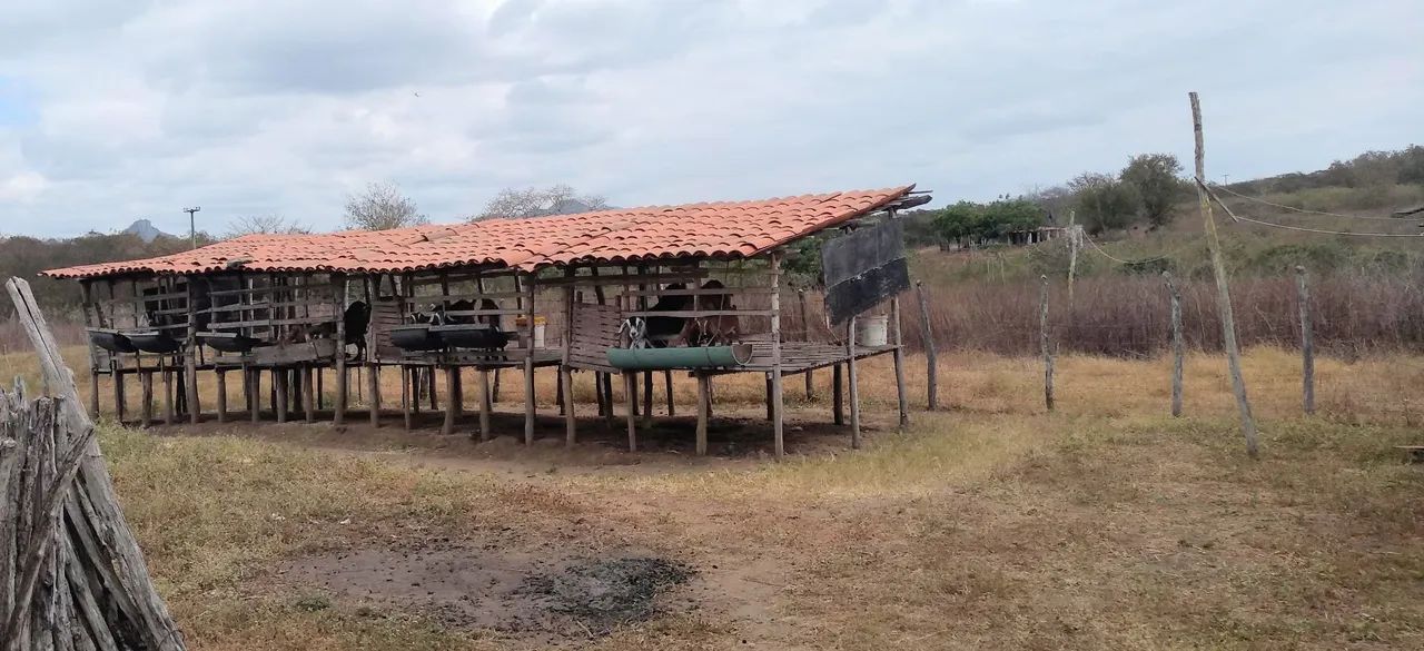 Promissora fazenda - Foto 4