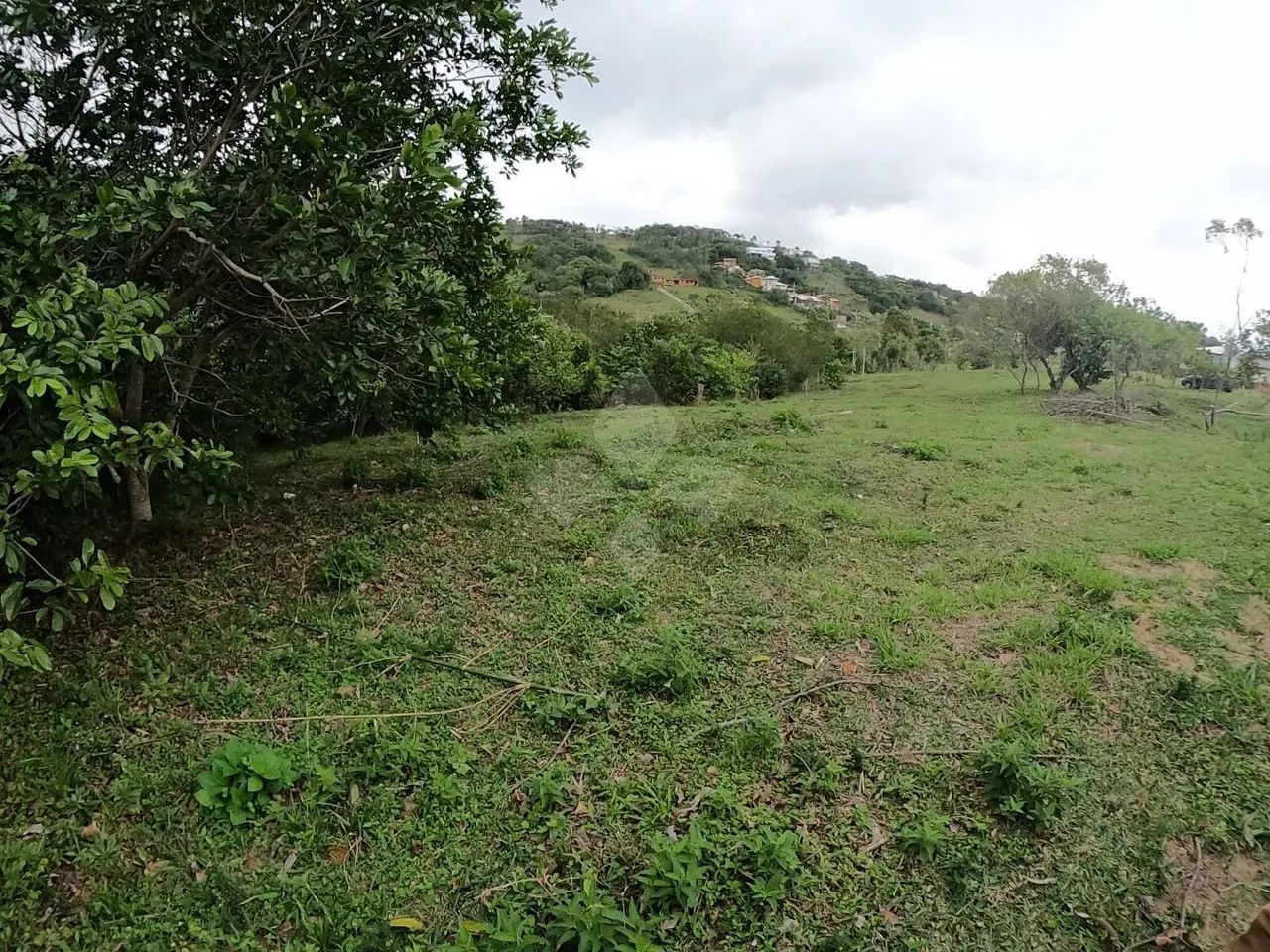 Terreno de 2700 m² à venda, Gamboa - Garopaba/SC - Foto 2