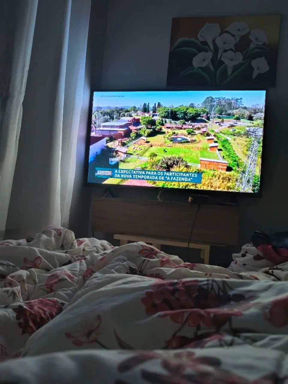Tv semp43