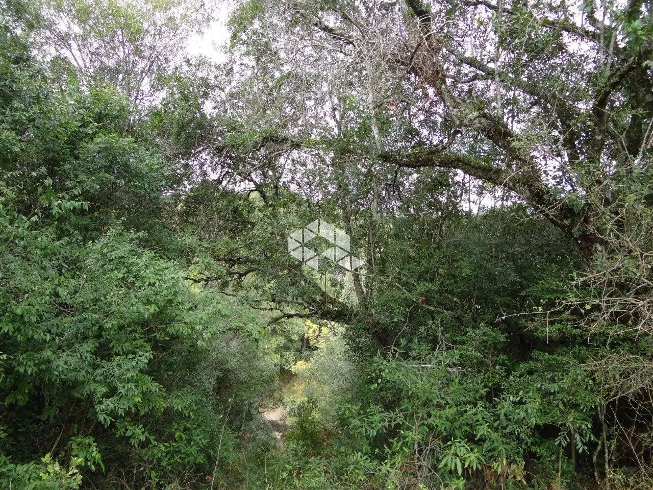 Área de terra no 8 da Graciema - Foto 5