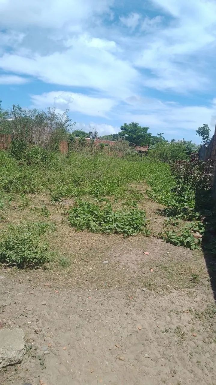 Vendo terreno no santa Maria  - Foto 2