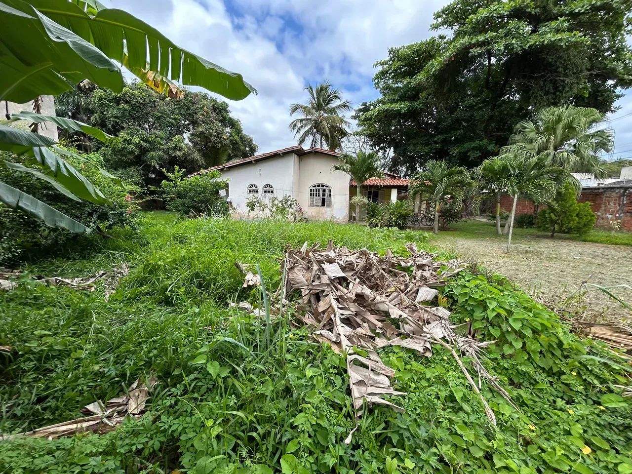 Venda - Terreno Plano | 1.200 M2 | Murado | Esquina | Abrantes - Foto 6