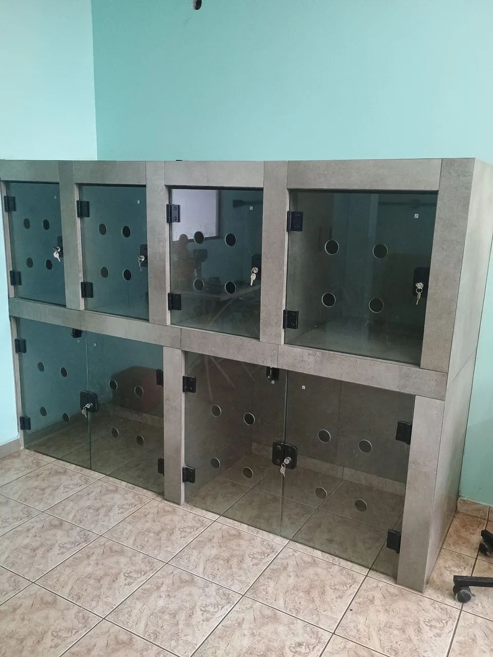 Vende-se banho e tosa completo - Foto 4