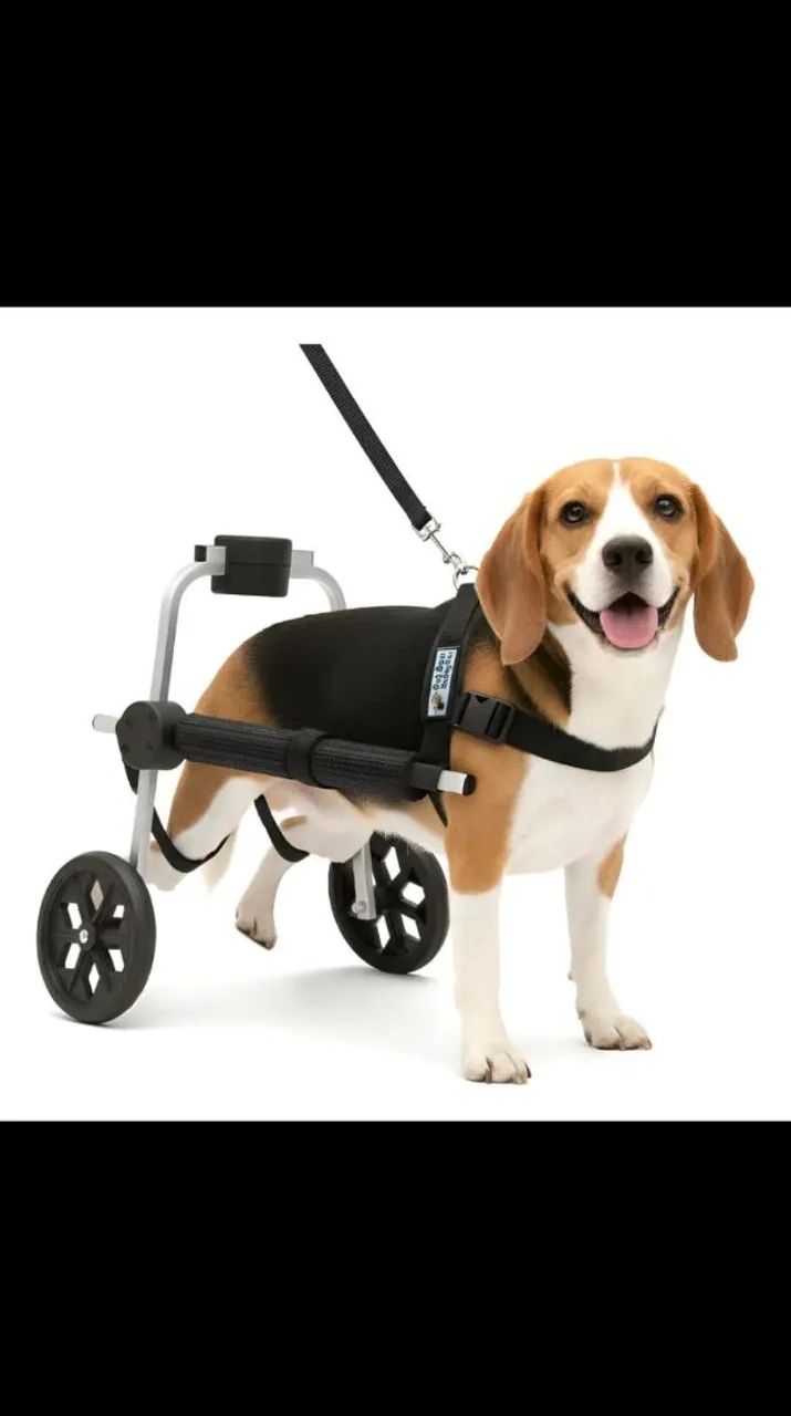 Cadeira de rodas para pet