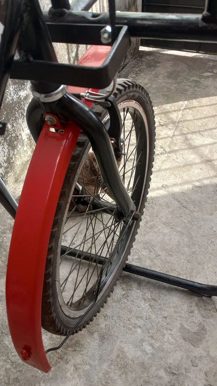 Bicicleta cargueira  - Foto 5