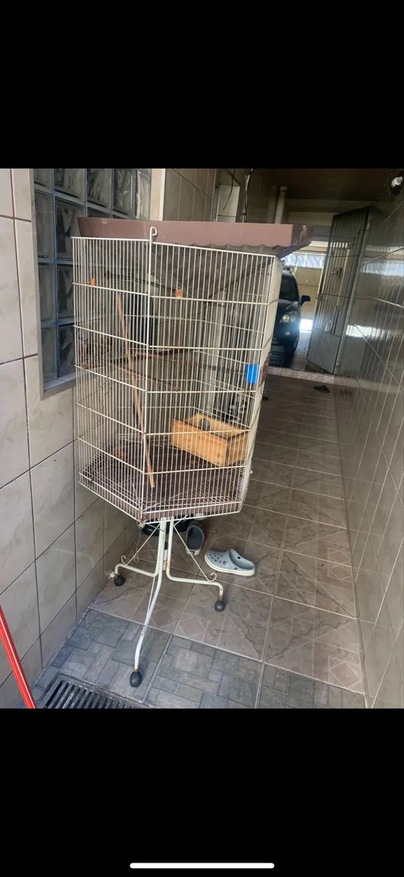 VIVEIRO PARA MACACOS , PÁSSAROS ETC ?