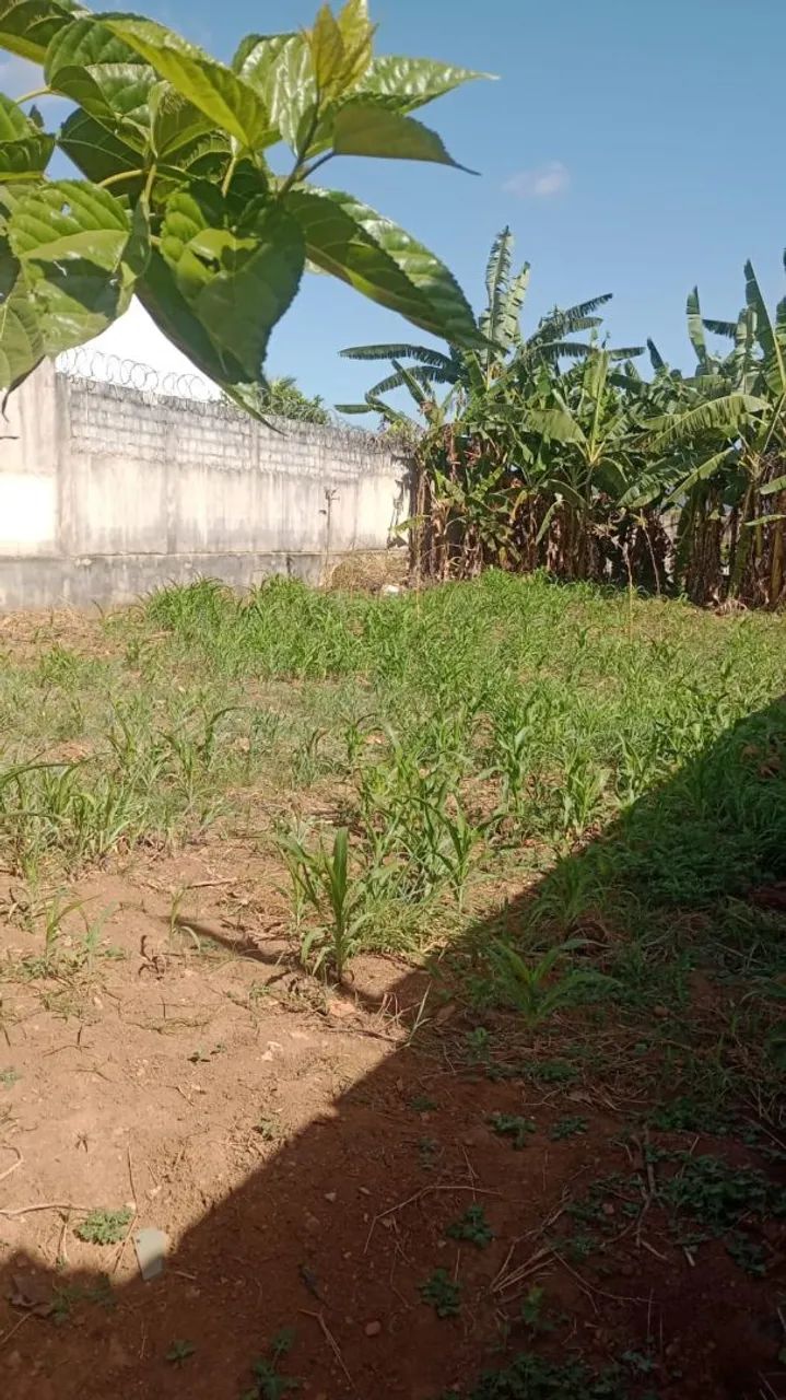 Lote em Matozinhos  - Foto 5