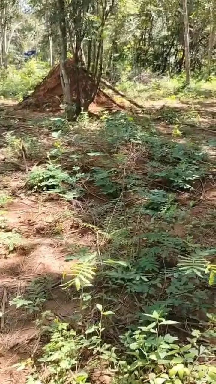 Terreno rural
