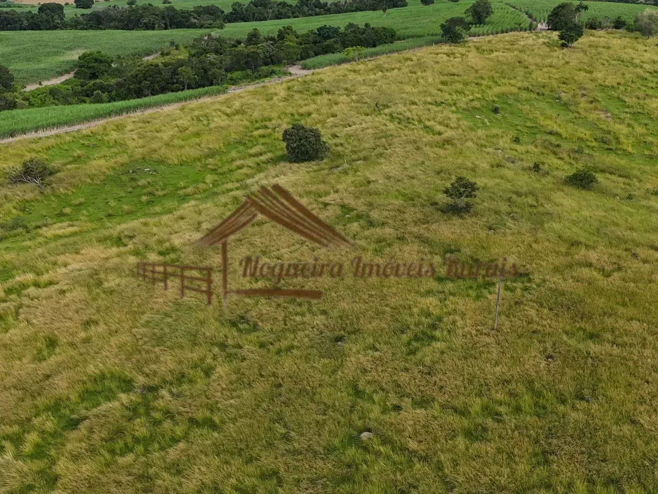 Área com 23.420 m² na região de Porangaba-SP - Foto 3
