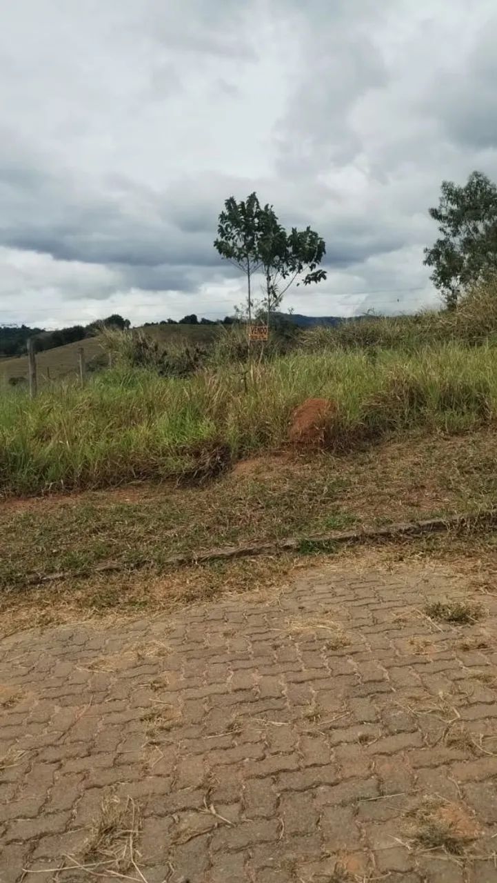 Vendo lote em Conservatória 