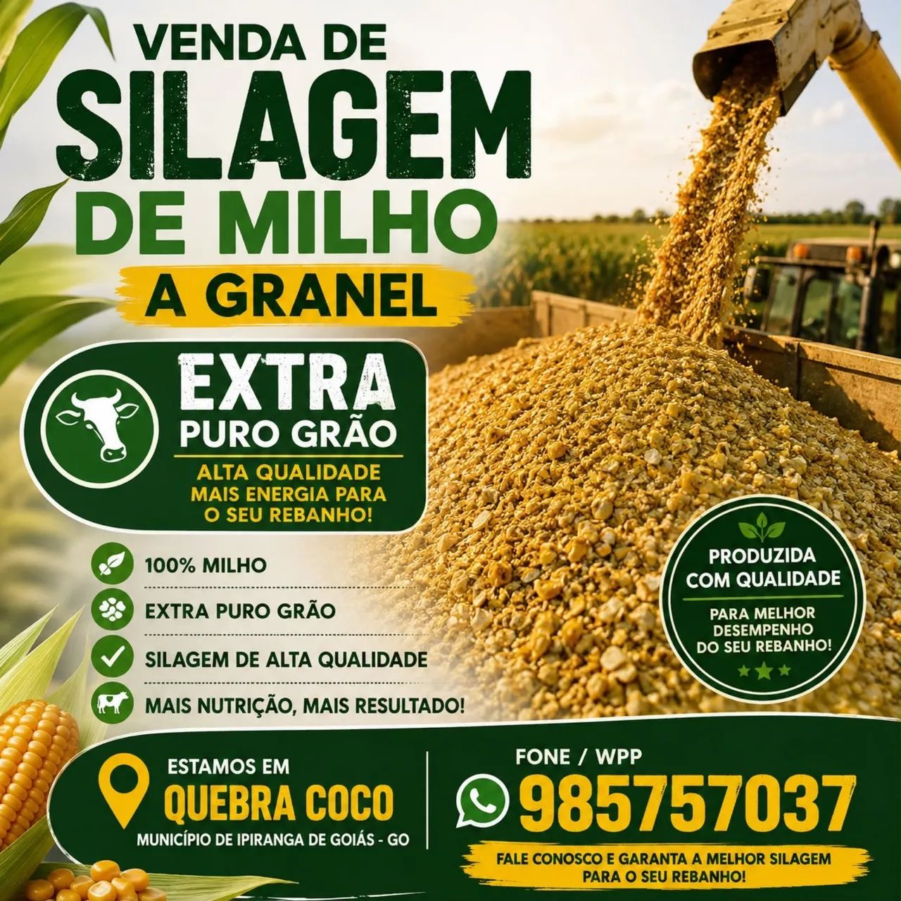 Silagem de milho Extra