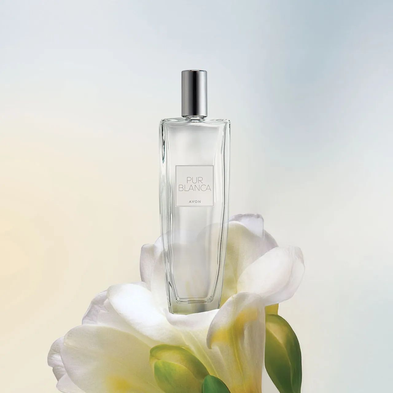 Pur Blanca deo colônia classico  - Foto 2