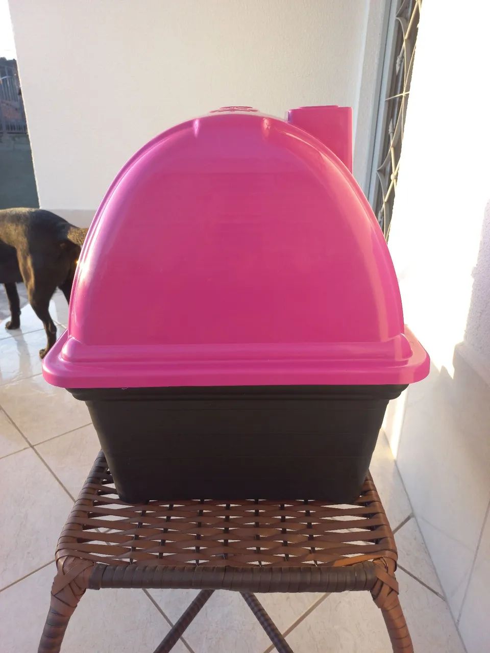 Casinha cachorro nova + manta  - Foto 3