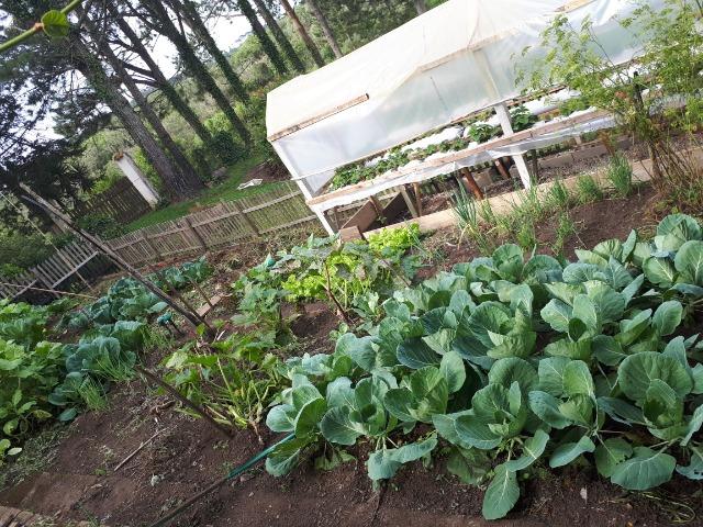 Belíssima Chácara a Venda no Campestre da Malhada - Foto 19