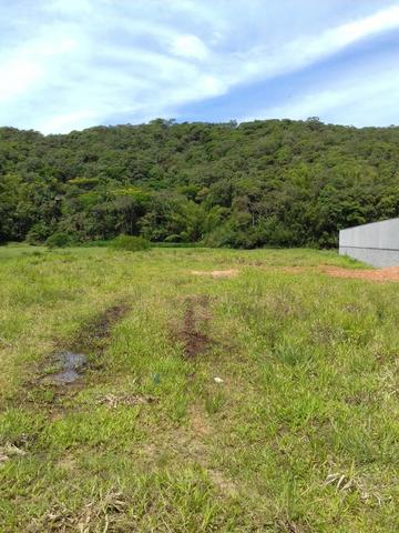 Terreno em São Pedro de Alcântara - Foto 6
