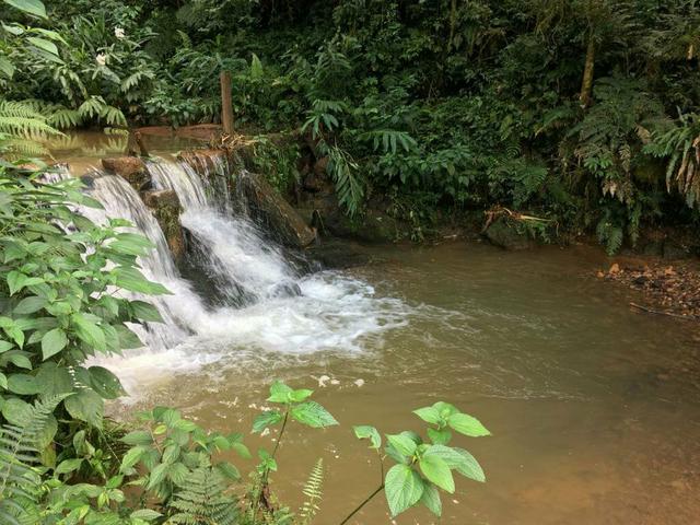Linda fazenda porteira fechada - Foto 11